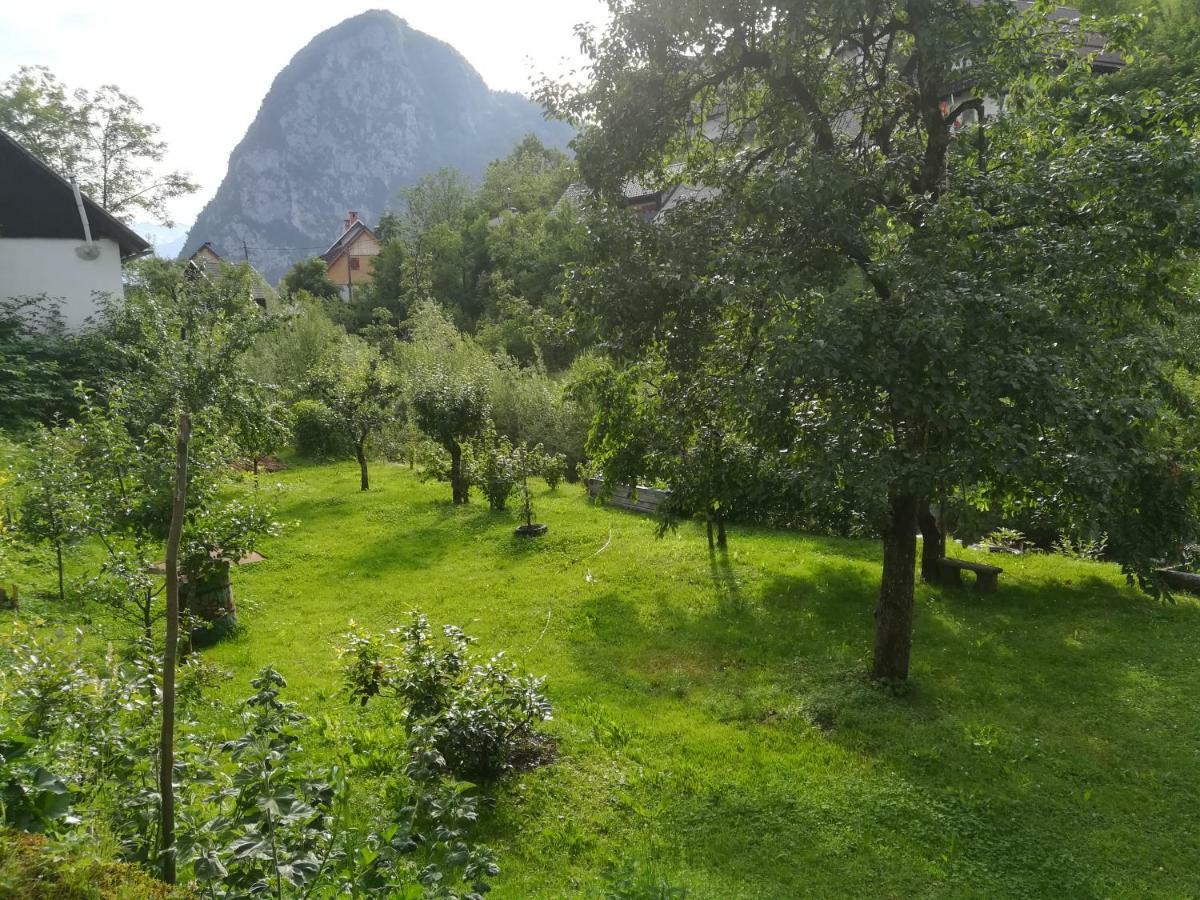 Apartma Pr Pekovcu Bohinj Exterior foto